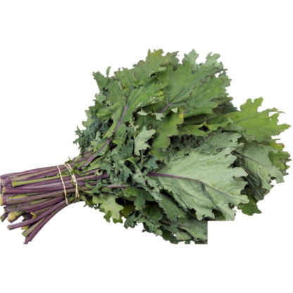 Red Kale
