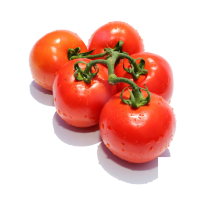 Washington Cherry Tomato Seedling