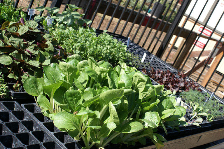 The Terrace Foundation The Terrace Foundation The Terrace Foundation Home