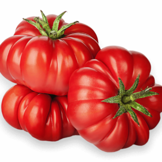 Heirloom Tomato Seedling