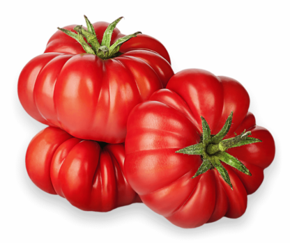 Heirloom Tomato Seedling