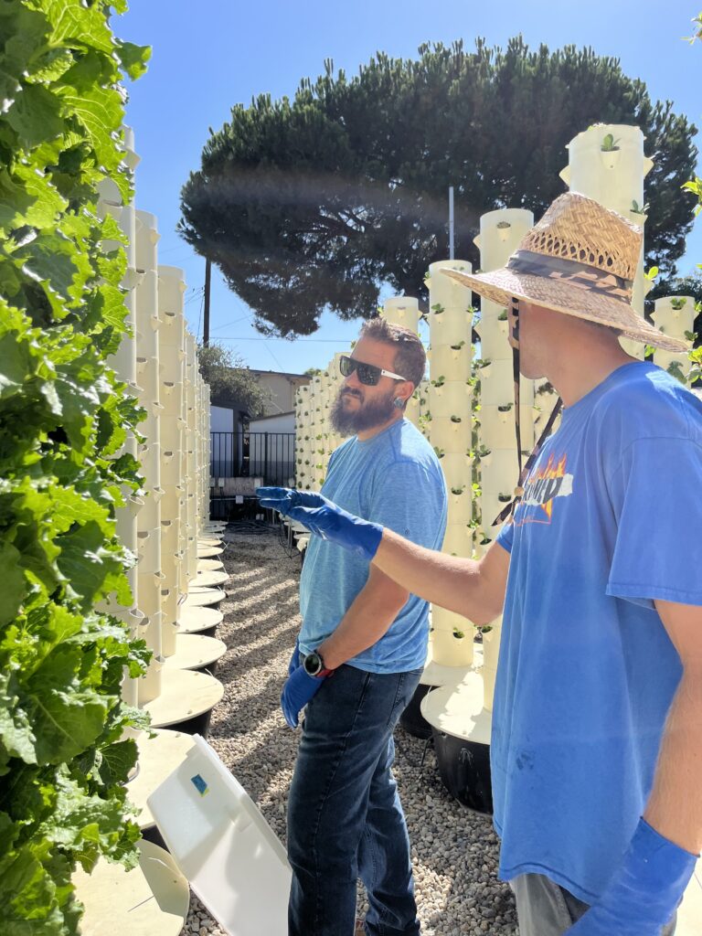 Aeroponic tower farmers strategize what to put in the next tower