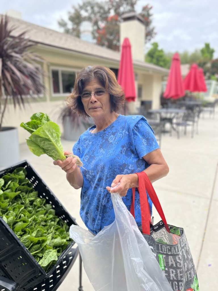 Some of the aeroponic tower produce is donated to the residents of Pilgrim Terrace Cooperative Homes 